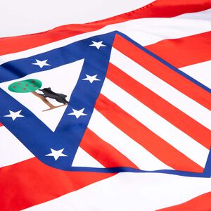 Bandera Rayas Horizontales